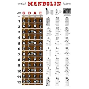 Mandolin Fretboard