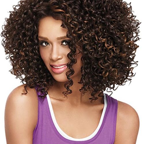 Sleek Kinky Curly Wigs Short Human Hair Wigs Africa Curly Hair Afro Kinky Curly Wig Lace Wig (3)