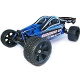 SHREDDER XB BUGGY ~ 1/6 Scale ~ Brushless Electric RC ~ By Redcat Racing
