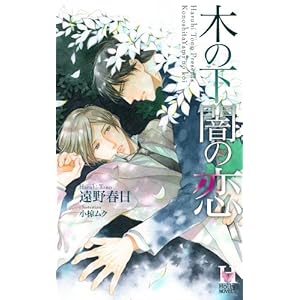 �؂̉��ł̗� (Holly NOVELS)