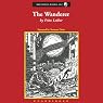 The Wanderer