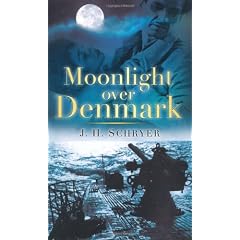 Moonlight Over Denmark