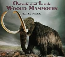 Outside And Inside Woolly Mammoths