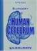 Search : Surgery of the Human Cerebrum: Part 1, Part 2, and Part 3 (Pt. 1, 2 & 3)