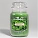 Fresh Mint - 22oz Yankee Candle Jar