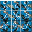 Birds of Prey Scramble Squares Puzzle