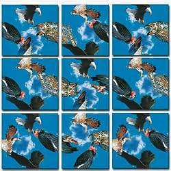 Scramble Squares: Birds of Prey