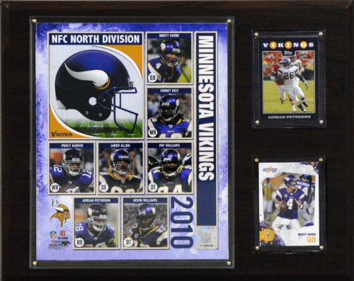 NFL Minnesota Vikings 2010 Team Plaque