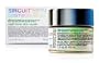 Sircuit Skin Sircuit Skin Dream Weaver Night Moisturizer 1.3 fl oz