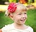 Ema Jane - Baby Hair Flower, Bow, and Headband Sets (Eyelet Laced Flowers on Lace Headbands (Mega Pack))