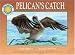 Pelican's Catch (Smithsonian Oceanic Collection)