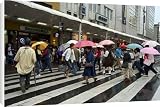 Canvas Prints of Pedestrians crossing in the rain from Robert Harding