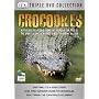 Crocodiles [DVD]