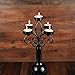 Boulevard Wine Bottle Candelabra, Black