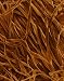 Wallmonkeys Peel and Stick Wall Decals - Cotton Fibers in Flannel Fabric (gossypium) Sem X55 - Remov