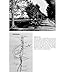 Old Wheelways: Traces of Bicycle History on the Land