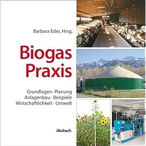 Biogas-Praxis: Grundlagen, Planung, Anlagenbau, Beispiele, Wirtschaftlichkeit, Umwelt