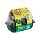 Medieval Herbs - Indoor Plant Terrarium Kit
