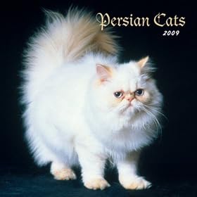 Persian Cats 2009 Calendar