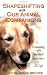 Shapeshifting with Our Animal Companions: Connecting with the Spiritual Awareness of All Life