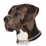 Eigenschaften Trixie  / Aufkl. Deutsche Dogge, schw./unkup.,(K)