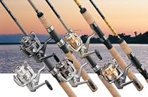 D-Shock 6'6" 2 Piece Spinning Combo