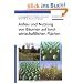 Anbau und Nutzung von B�umen auf landwirtschaftlichen Fl�chen