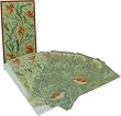 Victoria & Albert Museum Parrot tulip & Large Horned Poppy William Morris Design 10 notecards in wallet