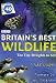 Nature's Top 40: Britain's Best Wildlife