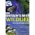Nature's Top 40: Britain's Best Wildlife