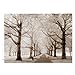 Breathtaking Landscape Note Card Pack / 36 Nature All Occasion Greeting Cards With White Envelopes Set / 6 Colorful Outdoor Scenery Designs / 3 1/2