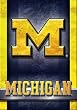 University of Michigan Wolverines Large House Flag
