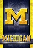 University of Michigan Wolverines Large House Flag i