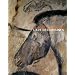 La grotte Chauvet : L'art des origines