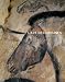 La grotte Chauvet : L'art des origines