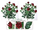TWO Bundles of 22" Velvet Rose Bushes _ Brand NEW
