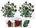 TWO Bundles of 22" Velvet Rose Bushes _ Brand NEW