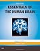 Books : Essentials of the Human Brain: With STUDENT CONSULT Online Access