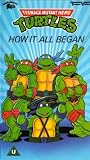 Teenage Mutant Hero Turtles - How It All Began [VHS] [1987]