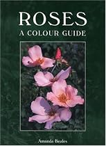 Roses: A Colour Guide