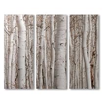 Canvas Birch Tree 3 Panels Wall Art Decor