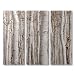 Canvas Birch Tree 3 Panels Wall Art Decor