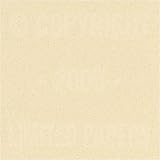 Passport Smooth Gypsum 24# #10 Envelope 500/pack