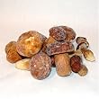 Frozen Porcini Mushroom - 1 lb Bag