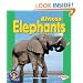 African Elephants (Pull Ahead Books)