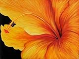 IMAGE OF Art Reproduction Oil Painting - Floral: Golden Hibiscus (Left) - Extra Large 30