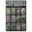 America's Most Wanted II Pot Plants Art Poster Print - 24x36