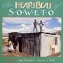 Heartbeat of Soweto
