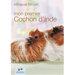 Mon cochon d'Inde