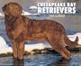 Chesapeake Bay Retrievers 2008 Calendar